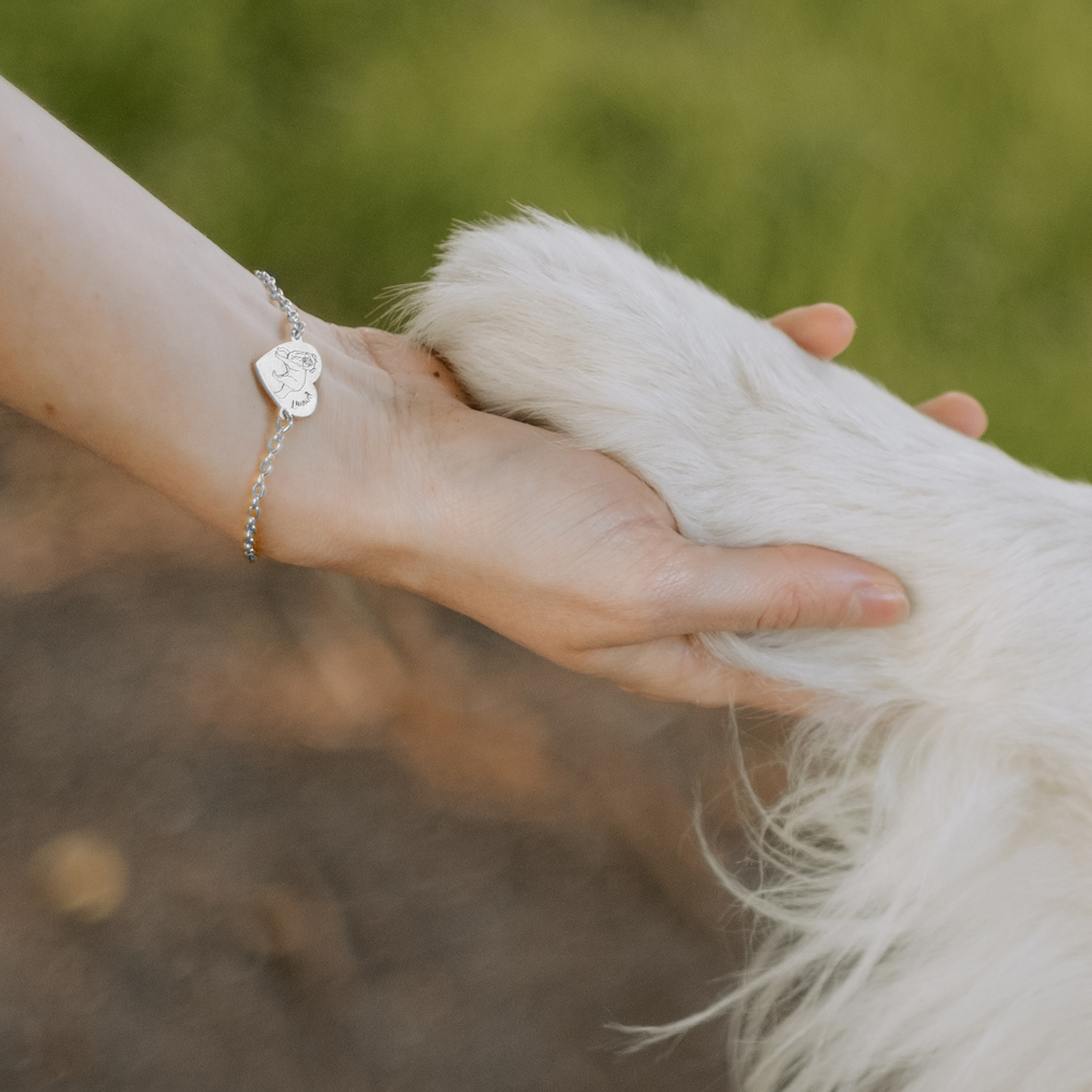 Zilveren armband met Berner Sennehond