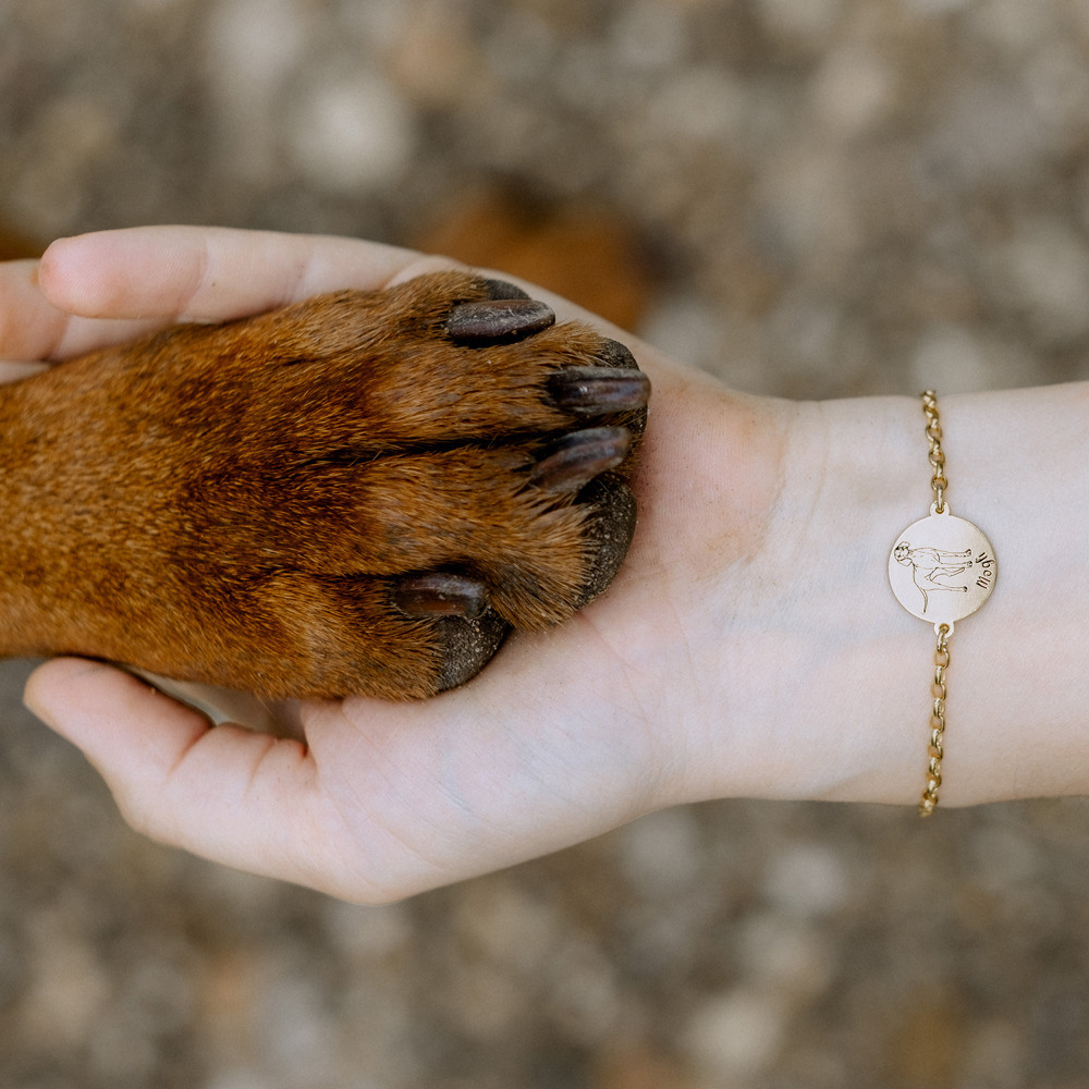 Gouden armband met honden portret Staffordshire Bull Terrier