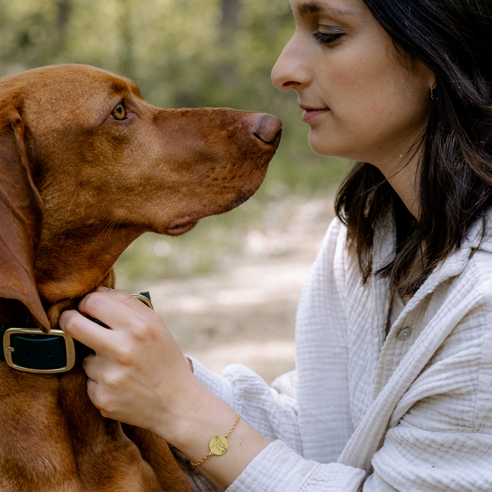 Gouden armband met honden portret Staffordshire Bull Terrier