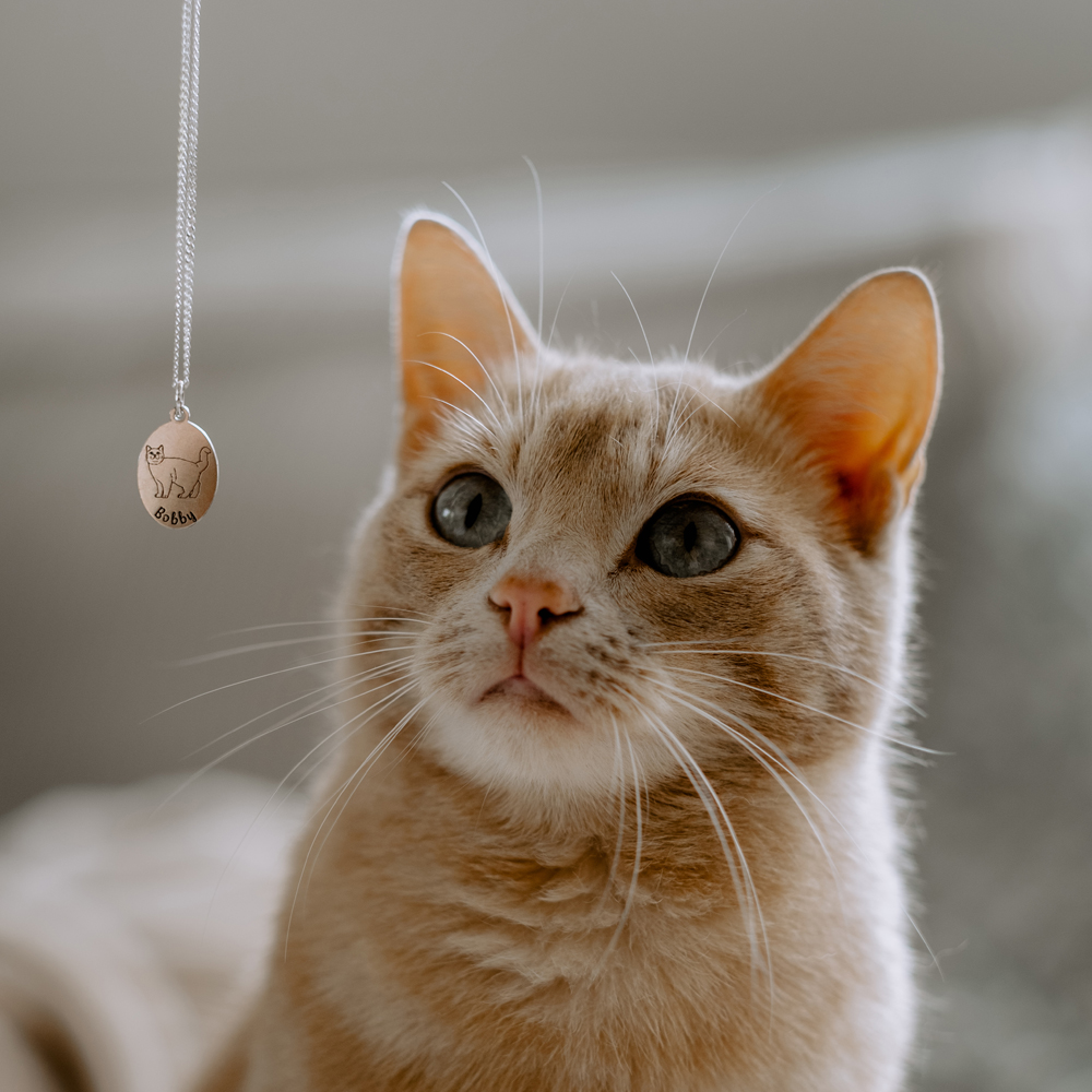 Personaliseerde hanger kat Noorse boskat zilver