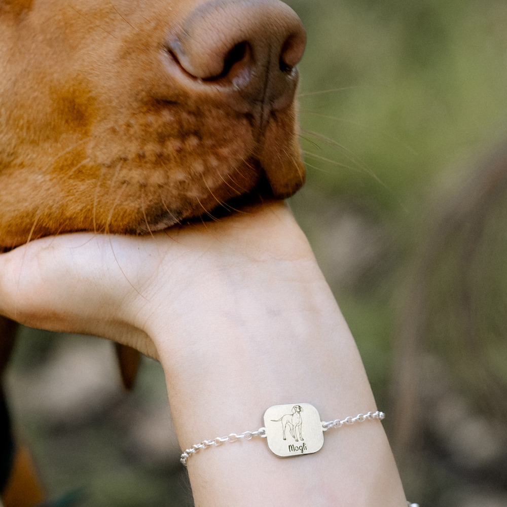 Gepersonaliseerde Rottweiler armband van zilver