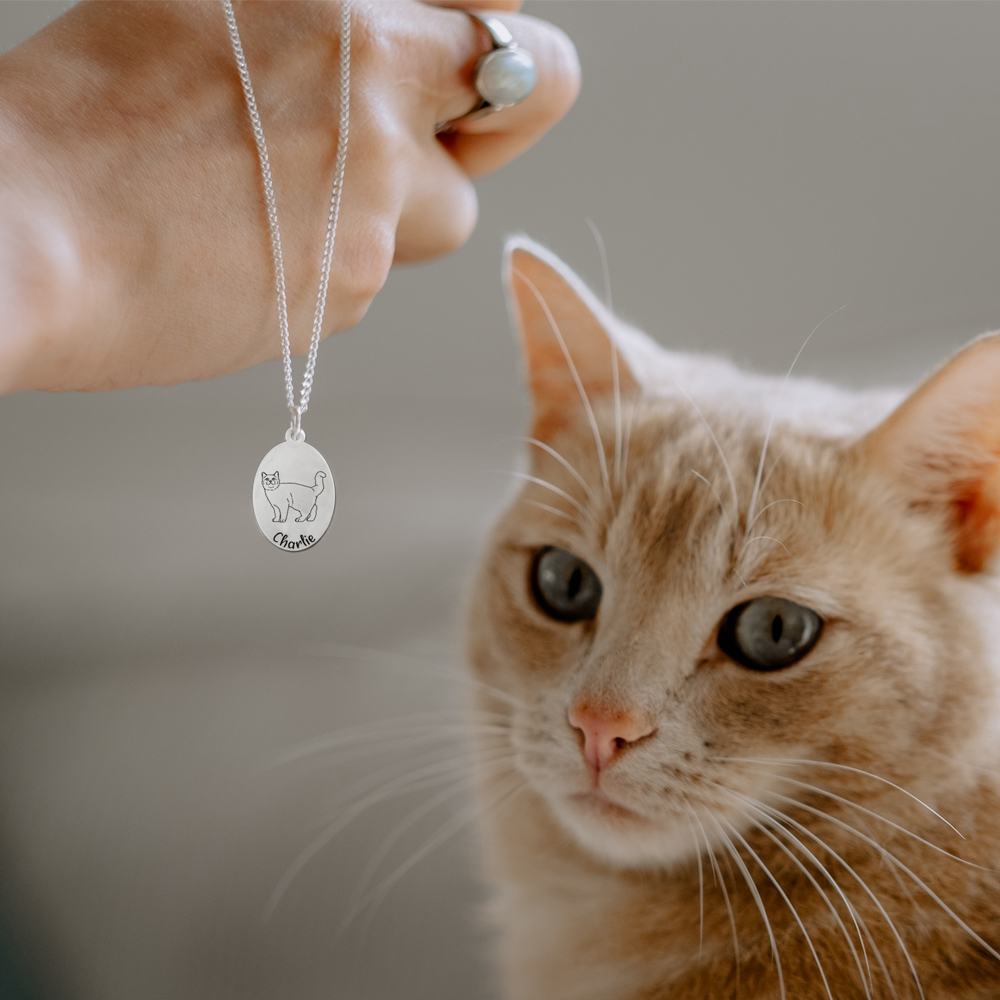 Zilveren hanger met kat portret Europese korthaar