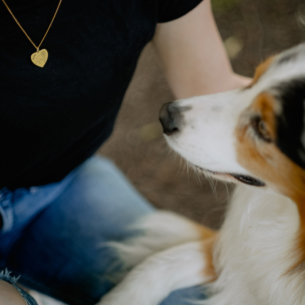 Gouden ketting met naam van eigen hond Australische Herder