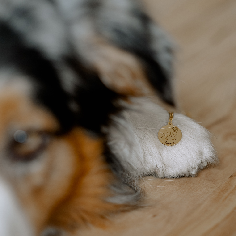 Gouden ketting met naam van eigen hond Australische Herder