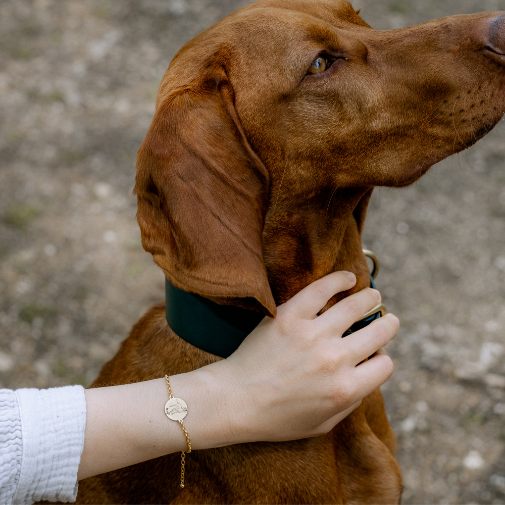 Gepersonaliseerde armband met hond Basset Hond van goud