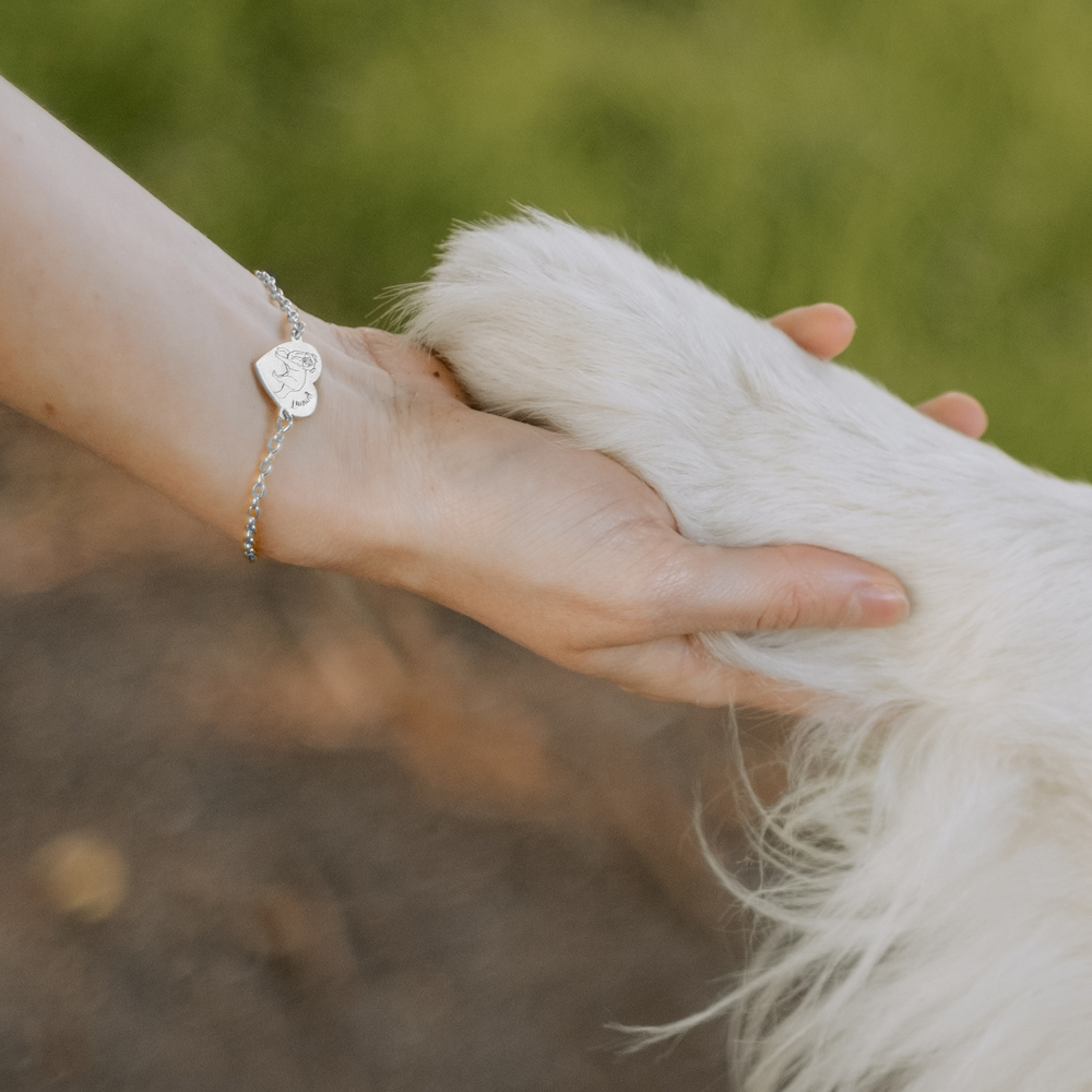 Honden armband Shiba Inu van zilver