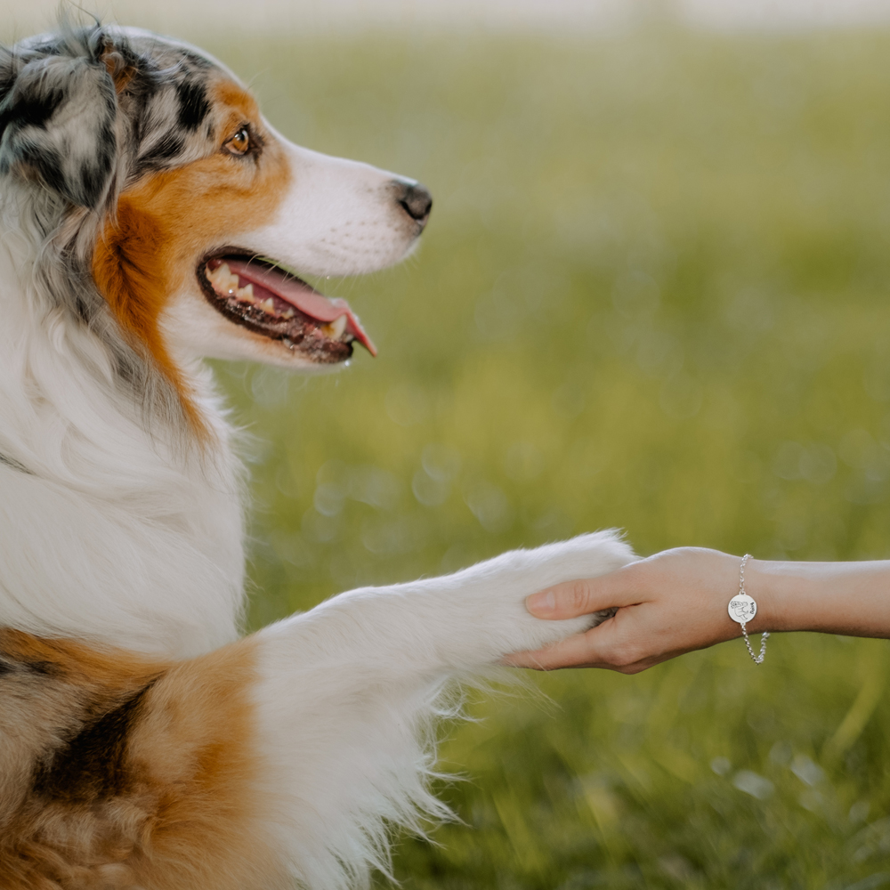 Zilveren armband met hond Labradoodle