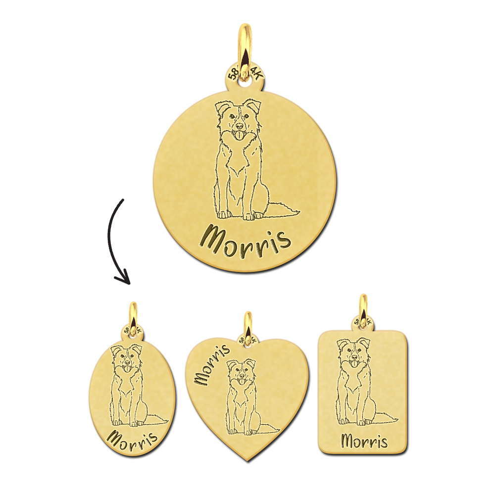 Gouden honden ketting met naam Border Collie