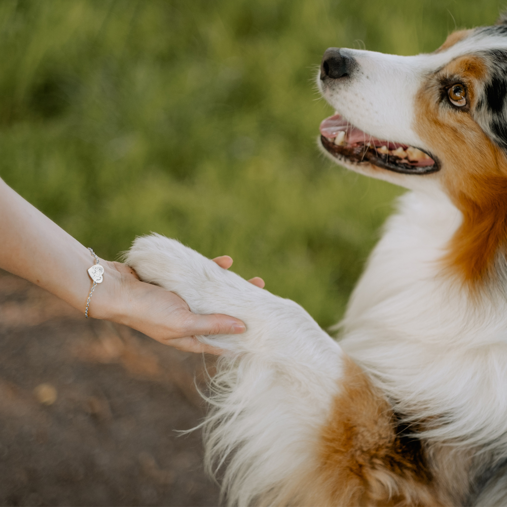 Beagle armband met naam zilver