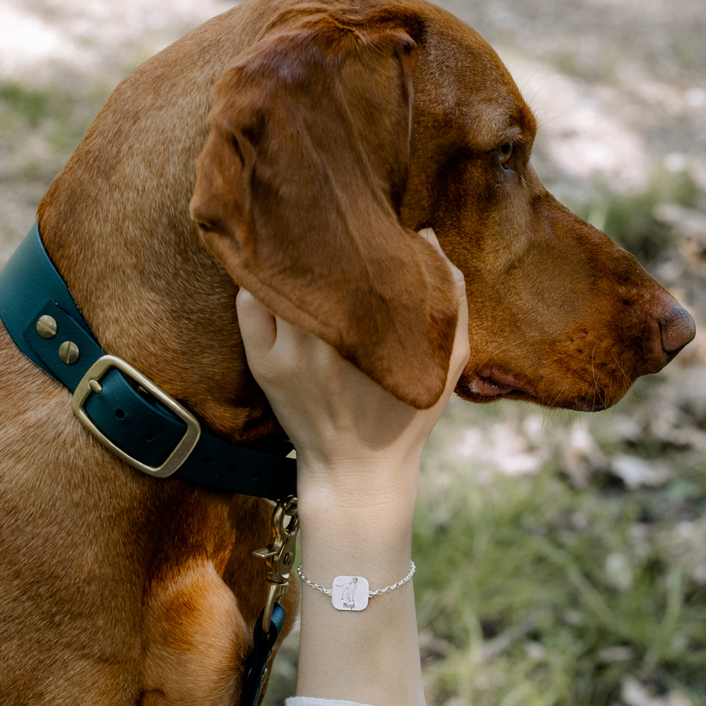 Zilveren armband met naam gravure hond Pittbull