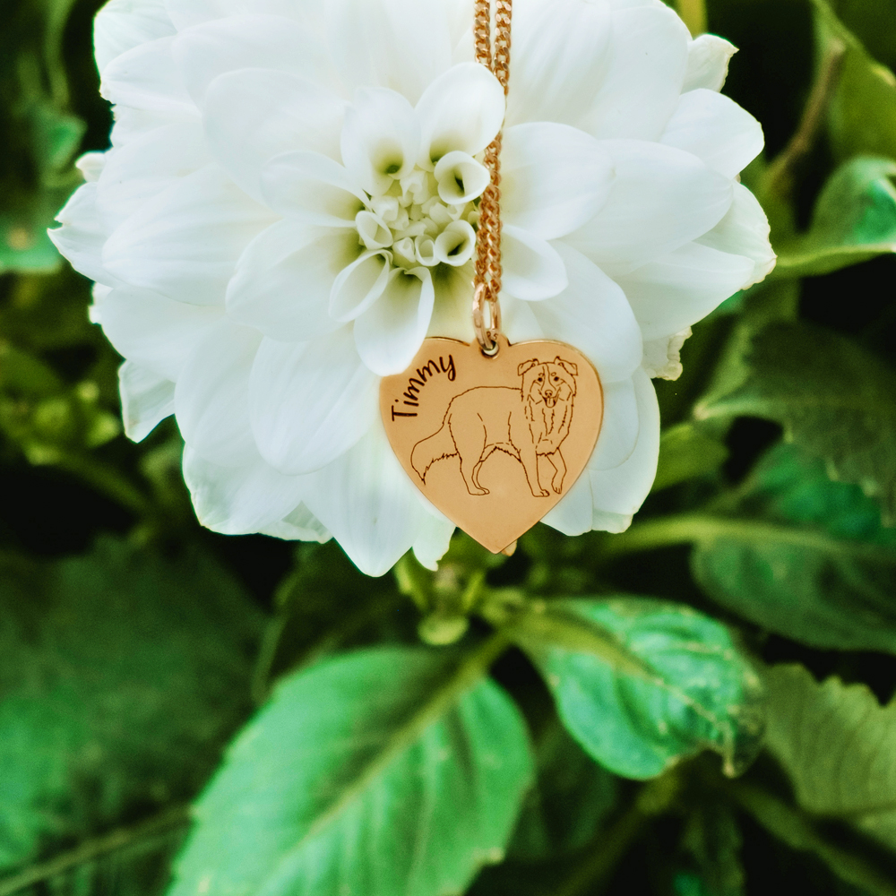 Gouden ketting met honden portret Staffordshire Bull Terrier