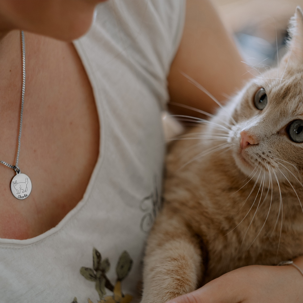 Zilveren kattenhanger met naam Perzische kat