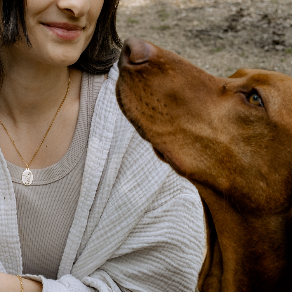 Gepersonaliseerde hanger met hond Basset Hond van goud