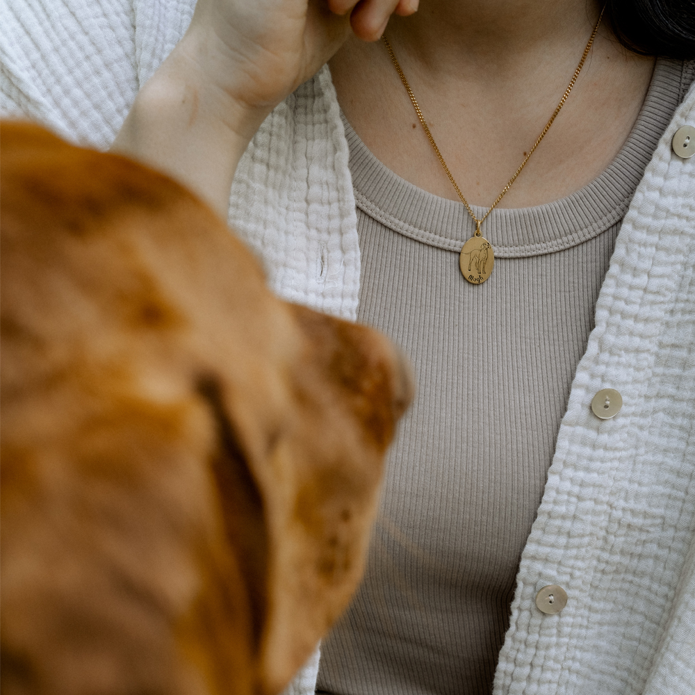 Gepersonaliseerde hanger met hond Basset Hond van goud