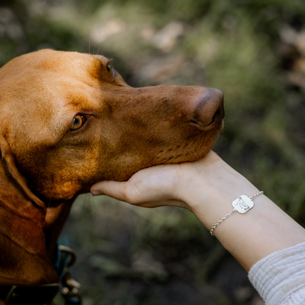 Zilveren armband met gravure English Cocker Spaniel