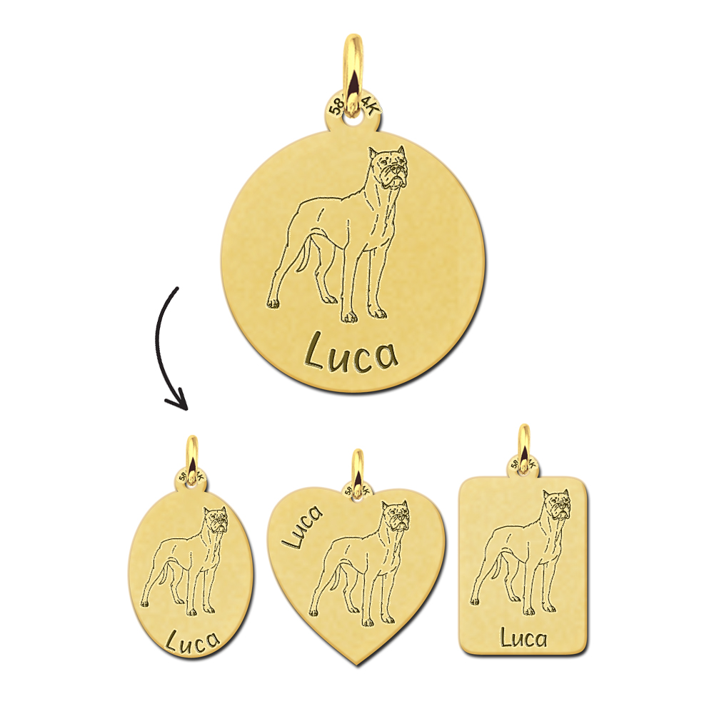 Gouden personaliseerde honden hanger Boxer