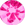 Zirkonia Roze