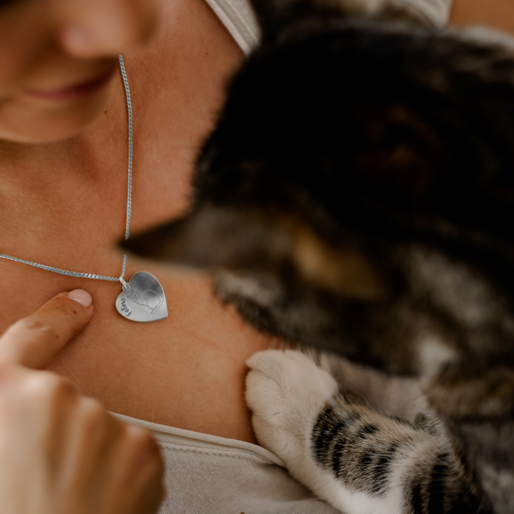 Zilveren ketting met kat Siberische kat