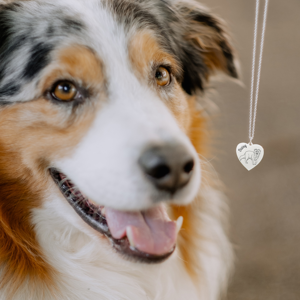 Zilveren ketting met honden portret Staffordshire Bull Terrier