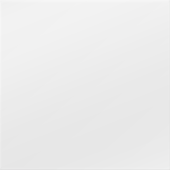 2,0 mm dik zilver (+ €45,00)