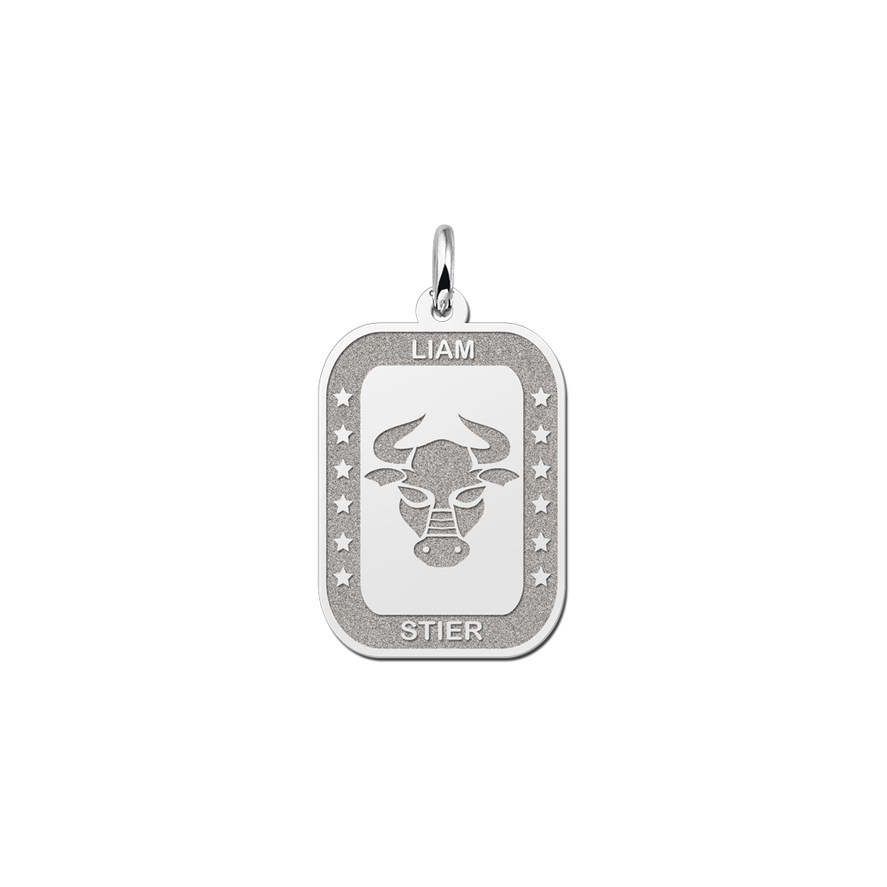 Zilveren rechthoekige hanger sterrenbeeld stier