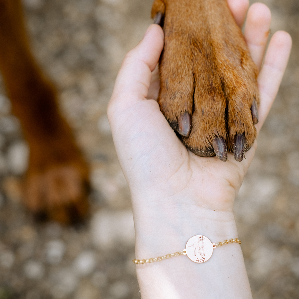 Gouden armband met hond Bull Terrier