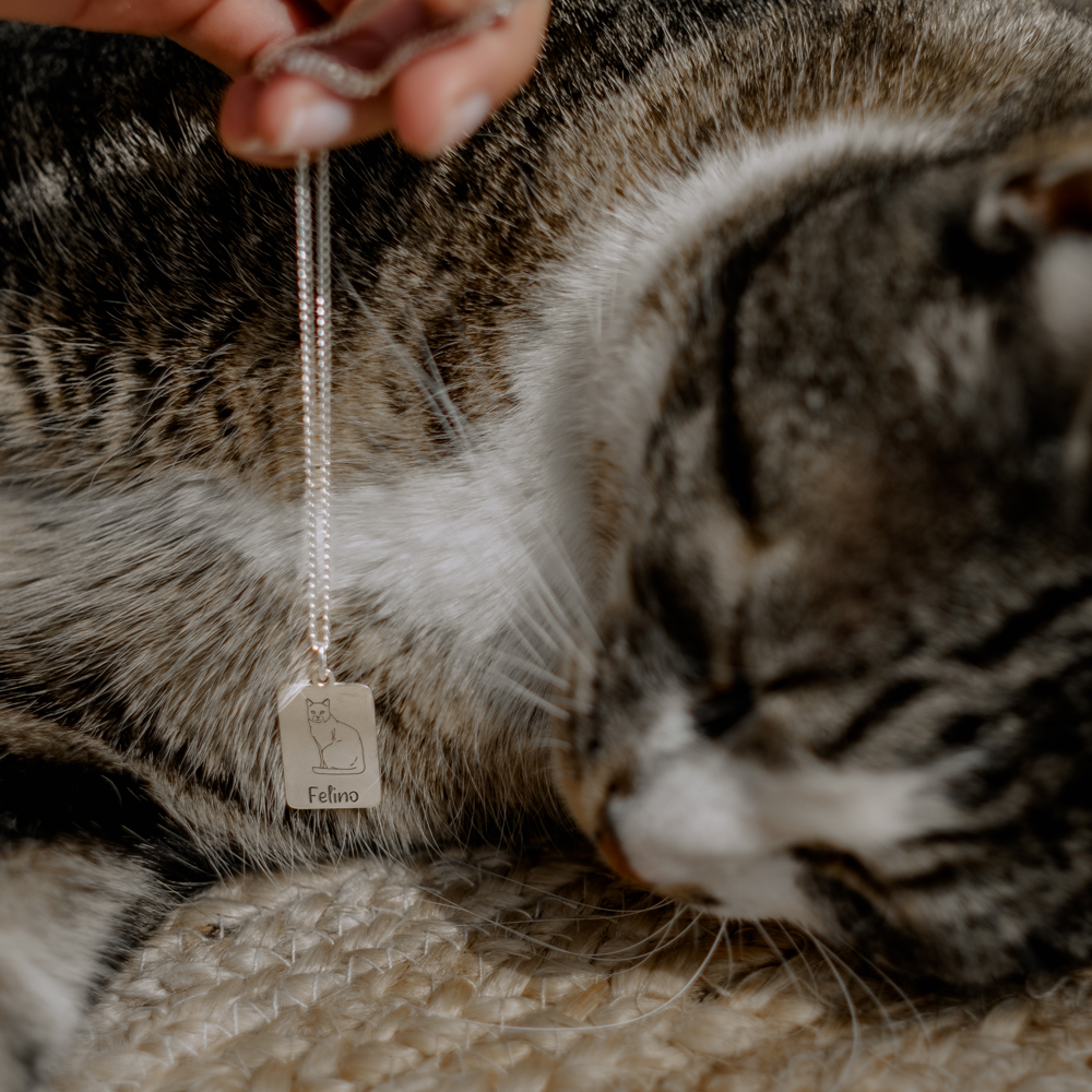 Zilveren ketting met kattenhanger Tuxedo kat