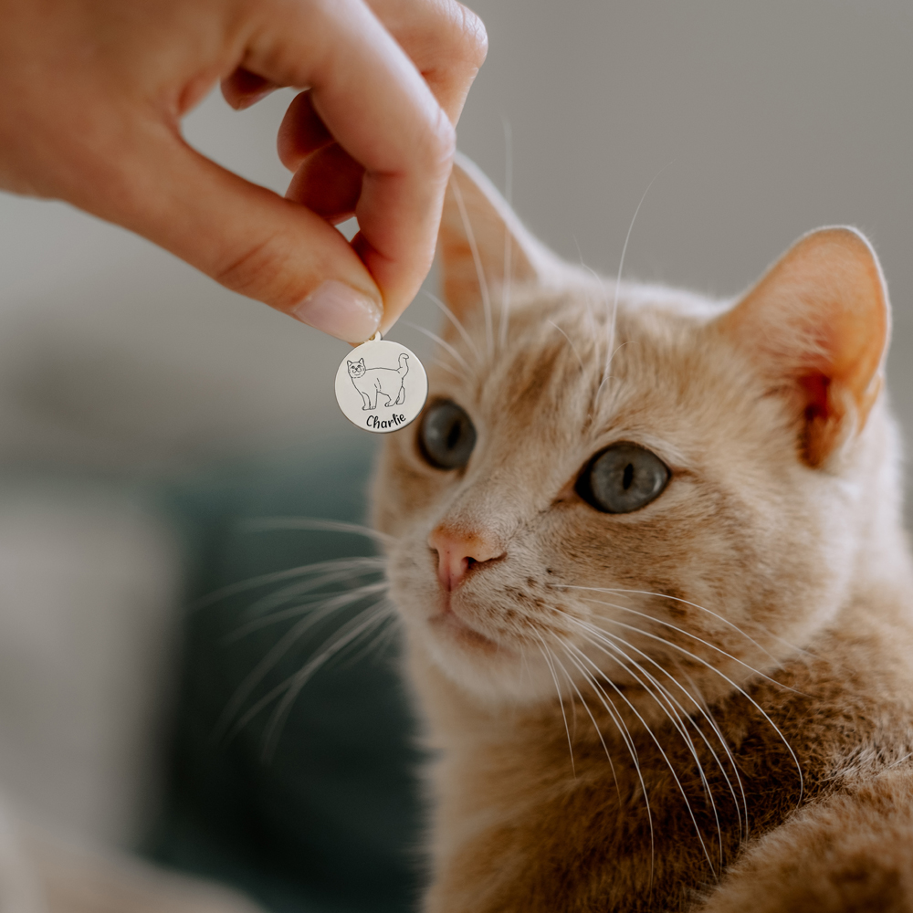 Zilveren ketting met kattenhanger Tuxedo kat