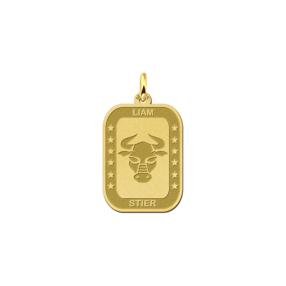 Gouden rechthoekige hanger sterrenbeeld stier