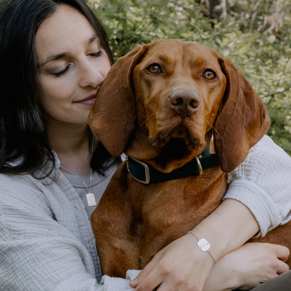 Zilveren honden armband Weimaranernd