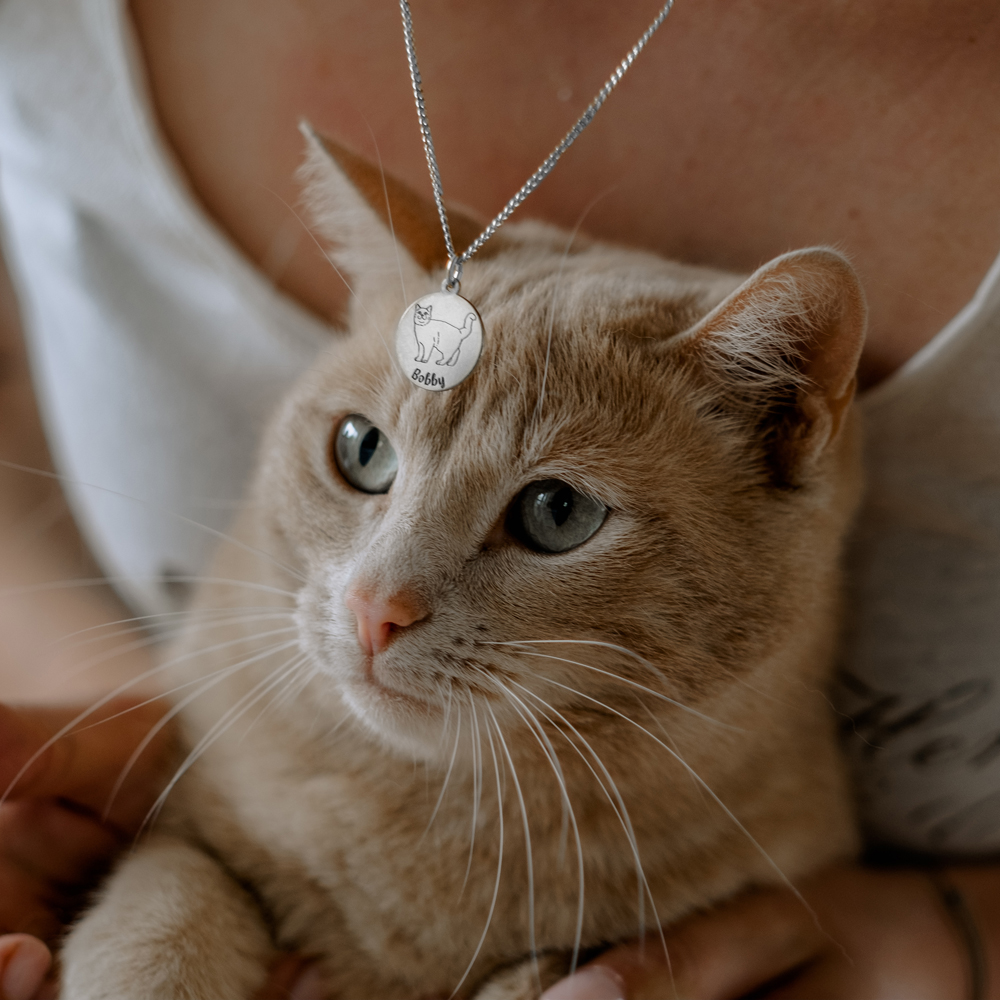 Zilveren hanger kat gewone huiskat/Vuilnisbakkenras kat