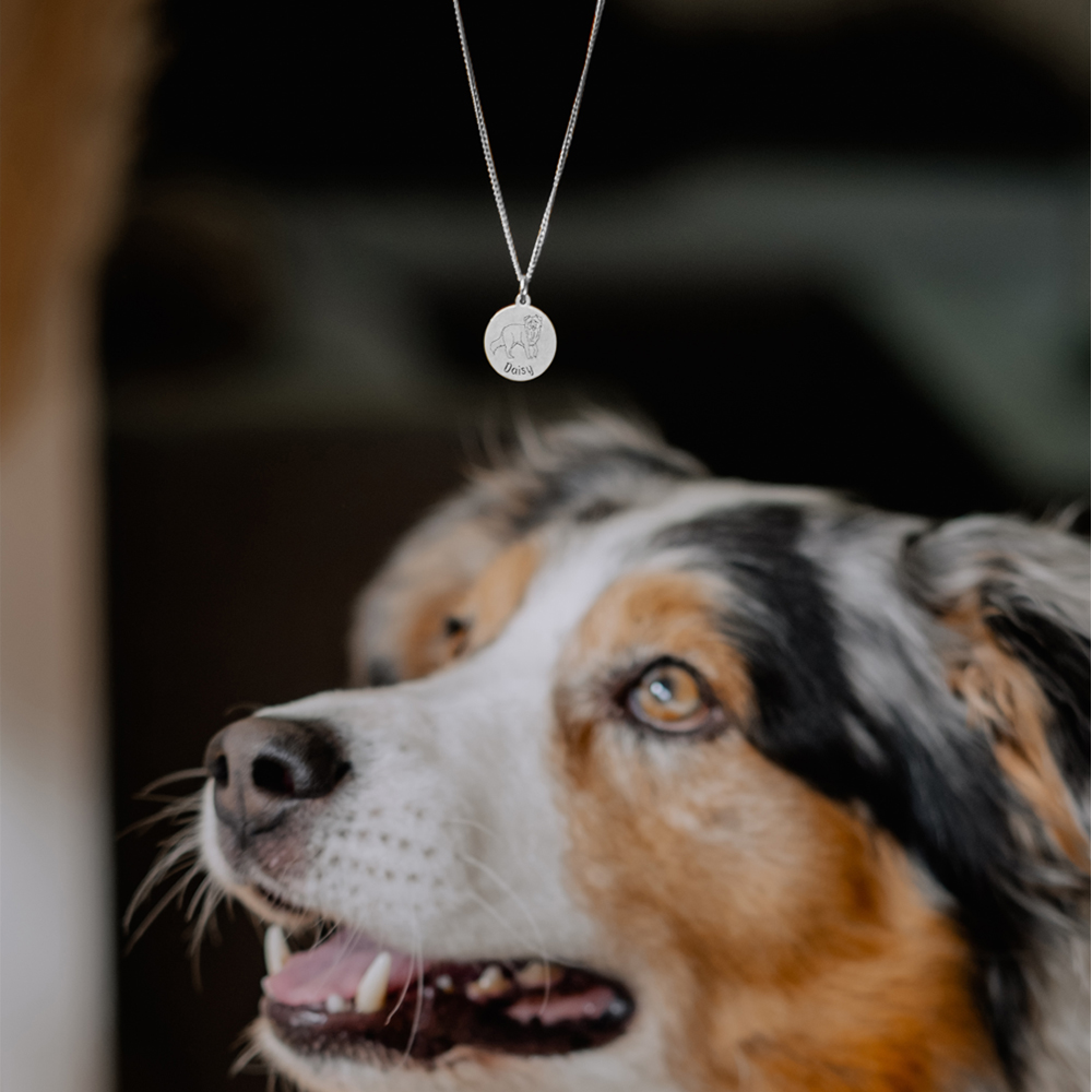 Zilveren honden ketting met naam Border Collie