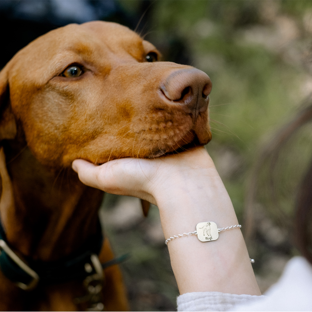 Honden armband met gravure Doberman Pinscher zilver