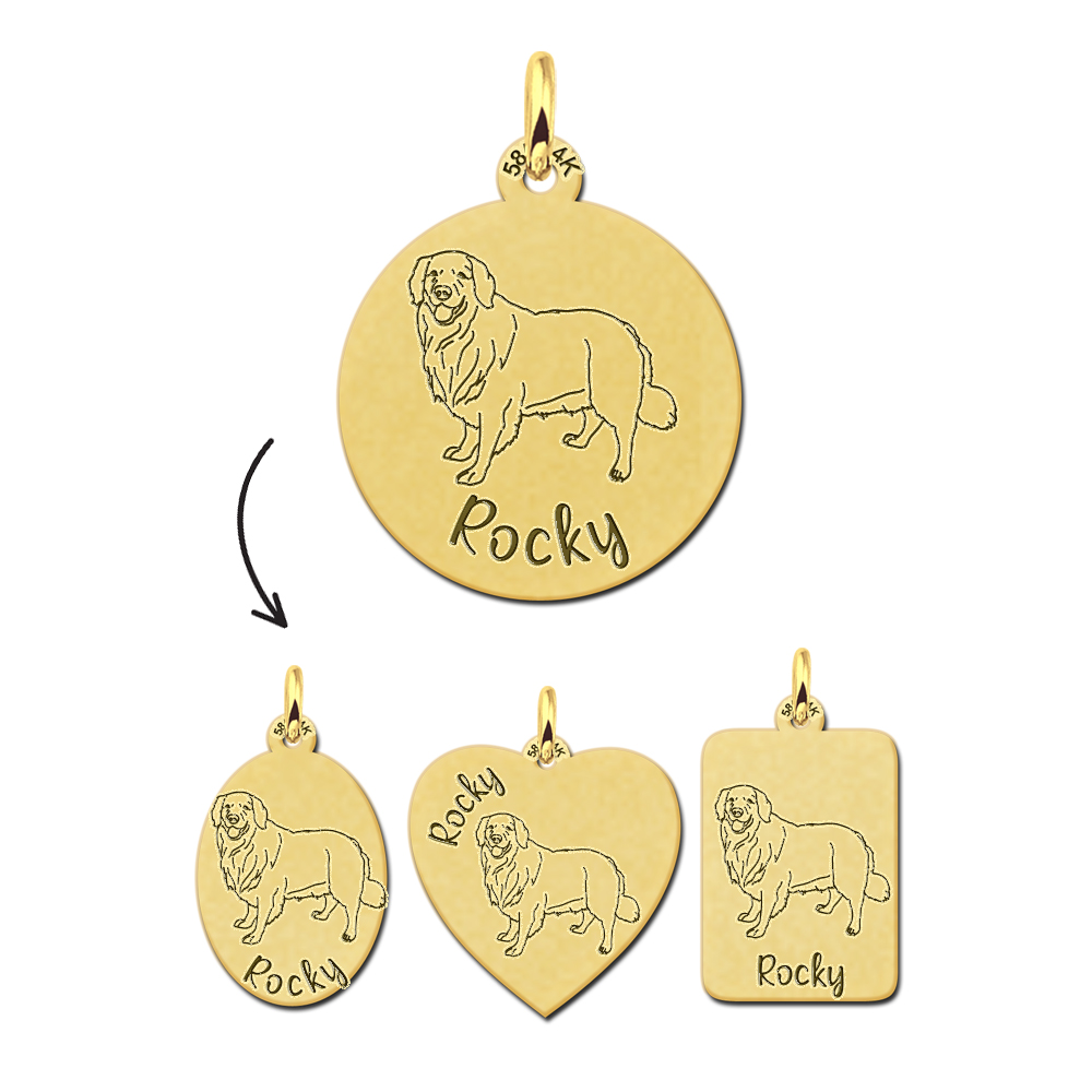 Gouden ketting hond Golden Retriever