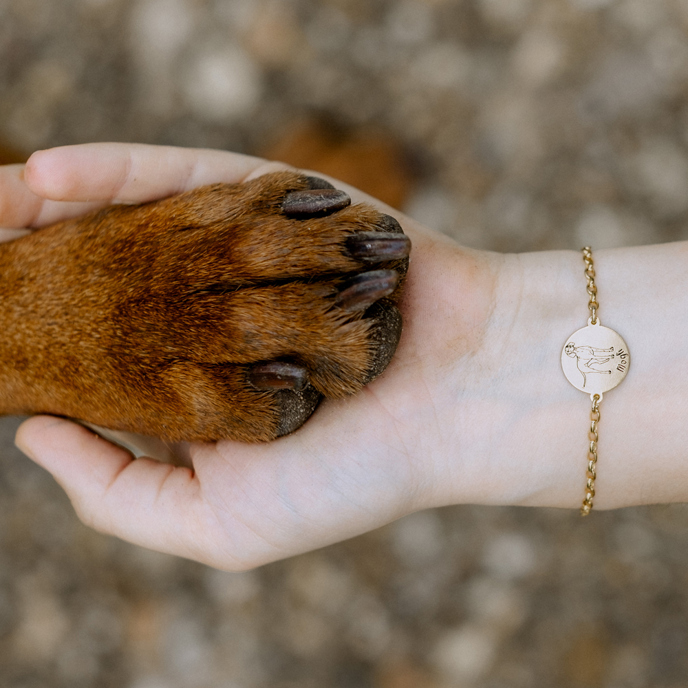 Honden armband Shiba Inu van goud