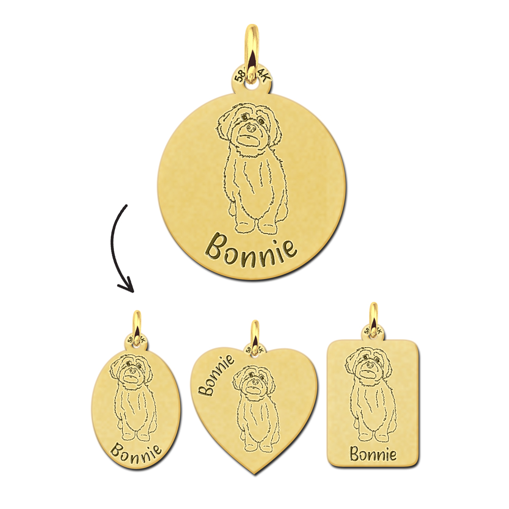 Gouden honden munt ketting Maltezer